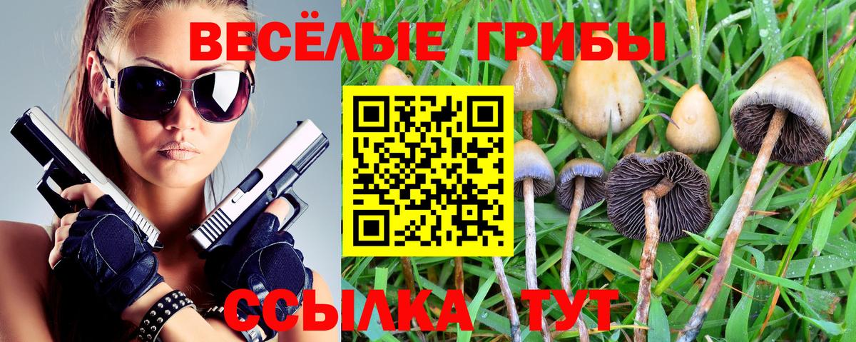 Псилоцибиновые грибы мицелий Шали