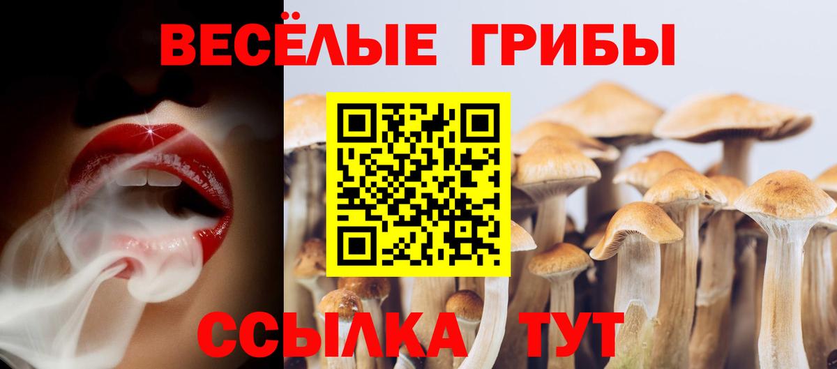 Галлюциногенные грибы Cubensis  Вход с VPN  Псилоцибиновые грибы MAGIC MUSHROOMS  Шали 