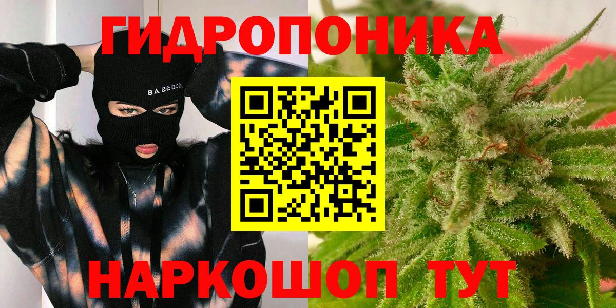 Бошки Шишки семена Шали